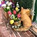 Marlene Larkin - Facebook