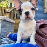 Marlene Larkin - @mlarkin73 - Instagram