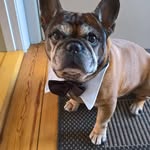 Marlene Larsen - @marlene.larsen.5454 - Instagram