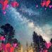 Marlene Lauer - Facebook