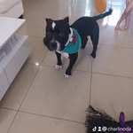 Marlene Lazo Noda - @marlenelazonoda - Instagram