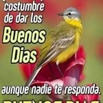 Sonnia Marlene Lazo Rodriguez - @sonnia_lazo - Instagram