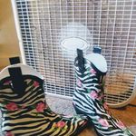 Marlene Leach - @marlene.leach.79 - Instagram