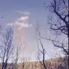 Marlene Leichtfried  - @marlenejuliiii - TikTok
