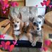 Marlene Libby - Facebook