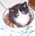 Marlene Lightbody - Facebook
