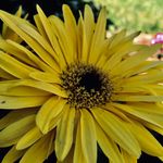 Mg light38 - @marlenelight38 - Instagram