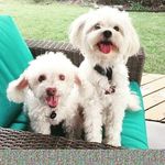 Marlene Limon - @marlene.limon - Instagram