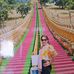 Marlene Long - Facebook