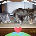Marlene Long - Facebook