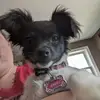 Marlene Long - @marlene.long8 - TikTok