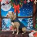 Marlene Luttrell - Facebook