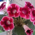Marlene Massa - Facebook