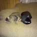 Marlene Maxwell - Facebook