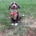 Marlene Mccarthy - Facebook