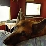 Marlene McCormick - @houndkeeper03 - Instagram