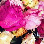 Marlene Mohr - @marlene_mohr - Instagram