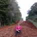 Marlene Mohr - Facebook