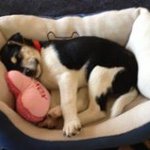 Marlene Mohr - @marmeemohr - Instagram