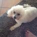 Marlene Mooney - Facebook