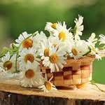 Marlene Docarmo Moretti - @marlenedocarmomoretti - Instagram