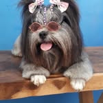 Marlene Moretti - @moretti.marlene.cg - Instagram