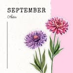 Marlene Moser - Facebook