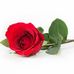 Marlene Nagy - Facebook