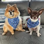 Marlene Stivaly Nagy - @starkat826 - Instagram