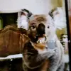 Marlene Navarrete - @marlene.navarrete8 - TikTok