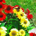 Marlene Nicholson - @marl_1.2.3 - Instagram