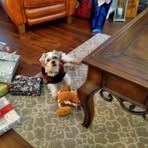 Marlene Norman - Facebook