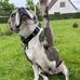 Marlene Olsen - Facebook