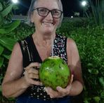 Marlene Orth - Facebook