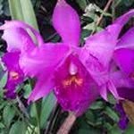 Marlene Orth - @marlene.orth.63 - Instagram