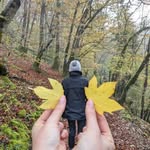 raguin - @marleneorthophoniste - Instagram