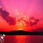 Marlene Ott - @marlene.ott.16 - Instagram