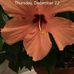 Marlene Painter - Facebook