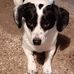 Marlene Wittenhoff Pedersen - Facebook