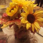 Marlene Peterson - @marlenepeterson578 - Instagram