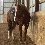 Marlene Peterson - @jivekid6 - Instagram