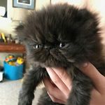Marlene Peterson - @agnesrosepeterson - Instagram
