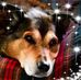 Marlene DiFalco Pfaffenbach - Facebook
