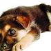Marlene Pfaff - Facebook