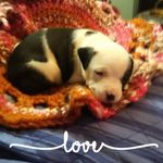 Marlene Pierce - @marlene.pierce.777 - Instagram