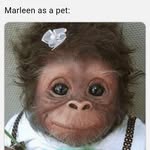 Marleen Pletcher - @marleen.pletcher - Instagram