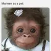 marleenpletcher0 - @marleenpletcher0 - TikTok