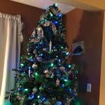 Marlene Farmer Purdy - @marny5455 - Instagram