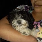 Marlene Quezada - Facebook