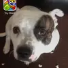 rocky - @marleneralph3 - TikTok